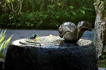 Puri Tupai Hotel Ubud